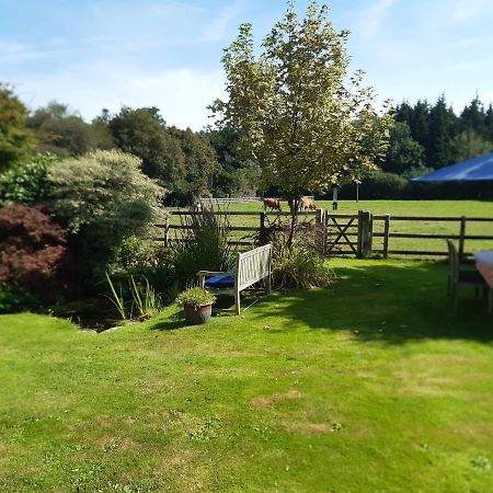 Woodlands Cottage Farm Wickham Eksteriør billede
