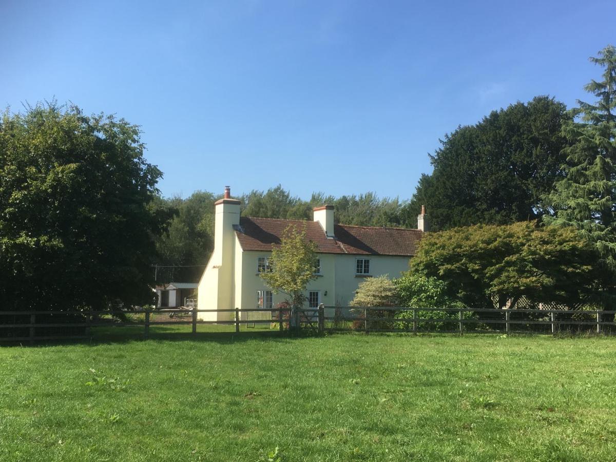Woodlands Cottage Farm Wickham Eksteriør billede