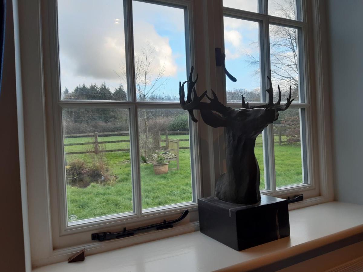 Woodlands Cottage Farm Wickham Eksteriør billede