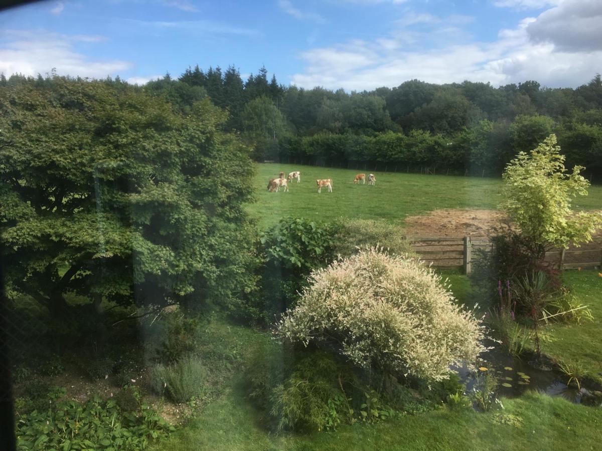 Woodlands Cottage Farm Wickham Eksteriør billede