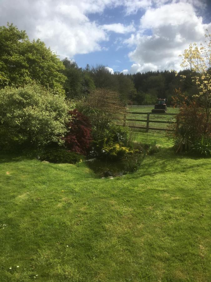 Woodlands Cottage Farm Wickham Eksteriør billede